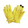 GUANTES TEXAS AMARILLOS DE BY CITY