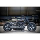 GUARDABARROS CORTO ACERO PARA FAT BOY M8 DE 18" DE RICKS MOTORCYCLE