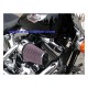 FILTRO AIRCHARGER PARA SOFTAIL 01-15 Y DYNA 04-15 